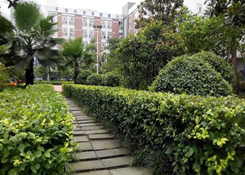 成都最好的幼师学校哪所最好 成都最好的幼师学校哪所最好