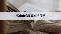 2023年乐山中考体育考试项目总分和评分标准规定