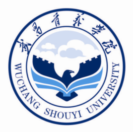 武昌首义学院学校代码是多少（12309）
