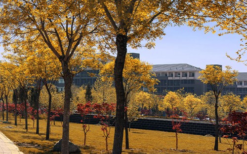 2022年北京市劲松职业高中有哪些专业