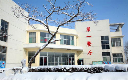 2023年禄丰县职业高级中学有哪些专业