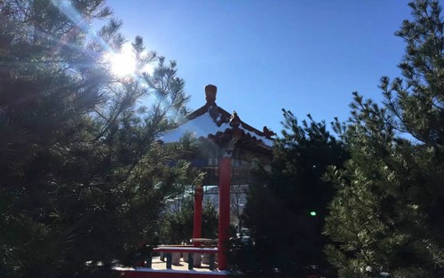 2023年云南理工职业学院有哪些专业
