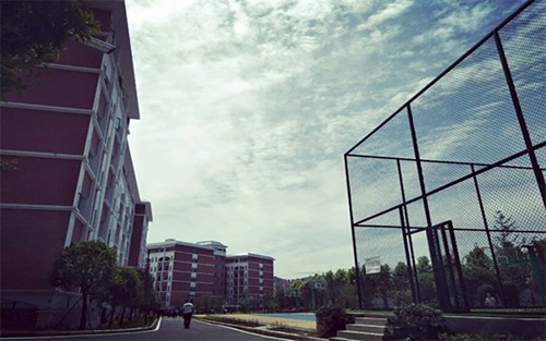 2023年会东电子科技学校有哪些专业