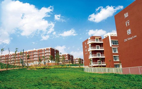 2023年云南医药健康职业学院有哪些专业