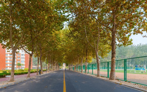 2023年重庆工商学校有哪些专业
