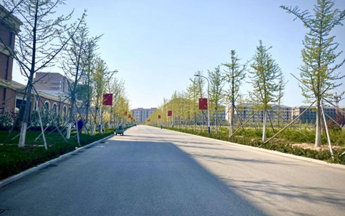 2023年泸州市江阳职业高级中学校有哪些专业