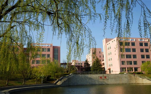 2023年郑州艺术幼儿师范学校有哪些专业
