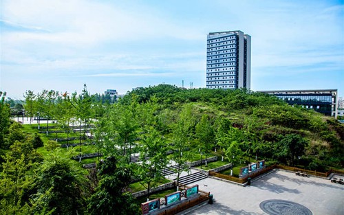 2023年德州卫生学校有哪些专业