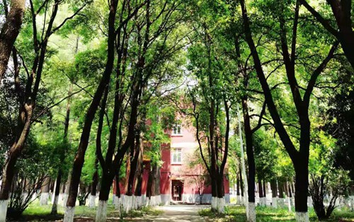 2023年南平职业中专学校有哪些专业
