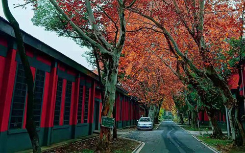 2023年云南艺术学院附属艺术学校有哪些专业