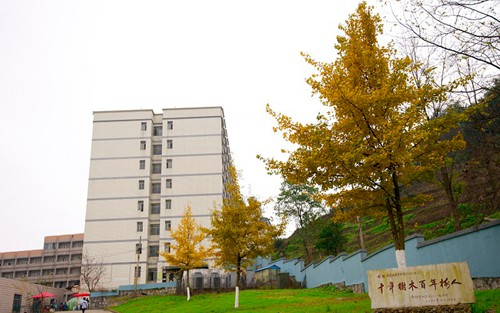 2023年宁波技师学院有哪些专业