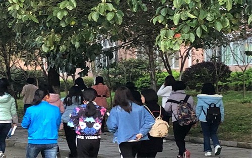 2023年山东中医药高等专科学校有哪些专业