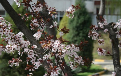 2022年重庆市机电工程技工学校有哪些专业