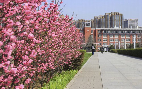 2023年青岛民航职业学校有哪些专业