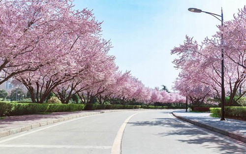 2023年无锡市天元技工学校有哪些专业