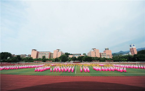 2023年四川省苍溪县职业高级中学有哪些专业