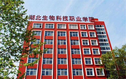 2022年砚山县民族职业高级中学有哪些专业