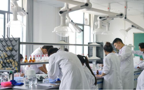 2023年广元市利州技工学校有哪些专业