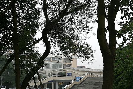 社会保障事务专业详解及就业方向