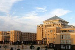 武汉科技大学医学院