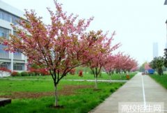百色职业学院