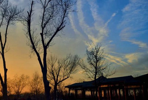 锦州师范高等专科学校图片