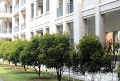 乐山卫生学校