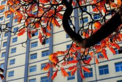 忻州师范学院