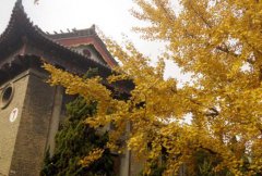 河南驻马店市卫生学校