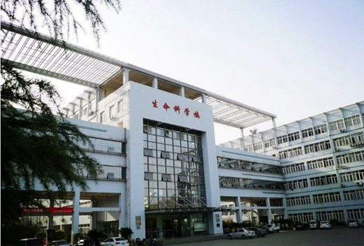 湖北三峡职业技术学院图片