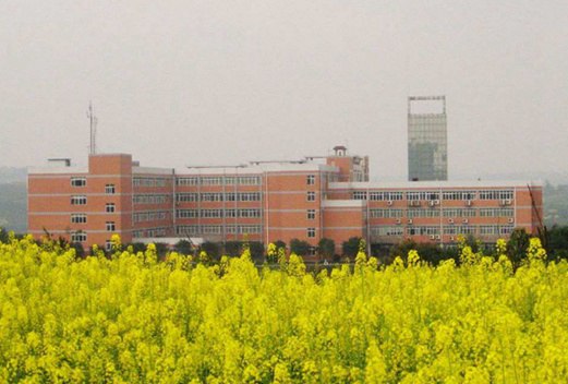 湖北省潜江市卫生学校图片