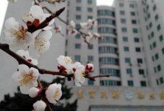 吉林大学白求恩医学部