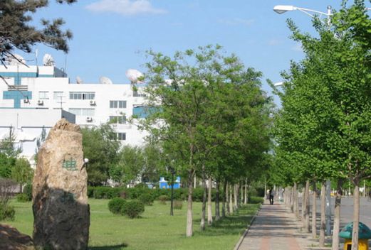 沈阳市艺术幼儿师范学校图片