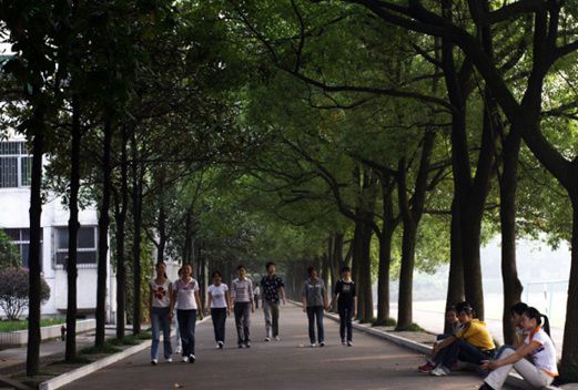湖南幼儿师范高等专科学校图片