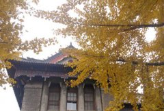 河南医学高等专科学校