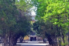 河北北方学院基础医学院