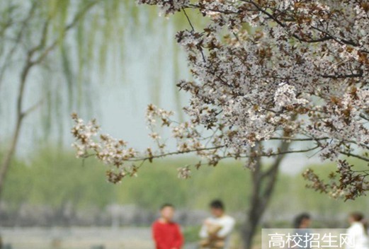 商丘师范学院图片