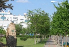 大连职业技术学院