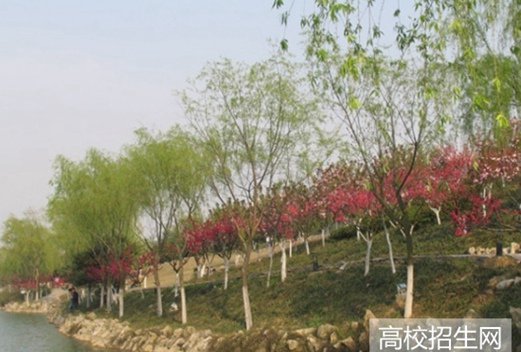 广西民族大学相思湖学院图片
