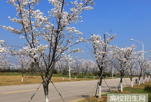 广西培贤国际职业学院