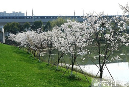 广西培贤国际职业学院图片