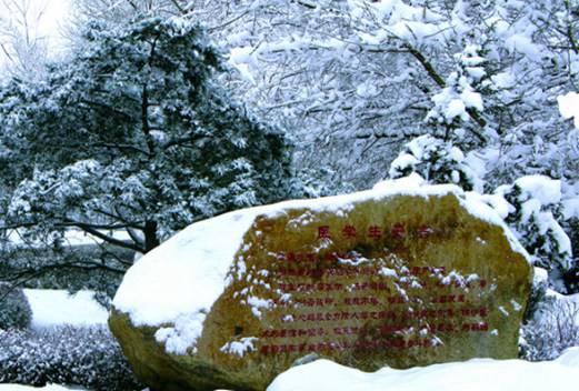 长春中医药大学图片