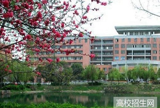 成都棠湖科学技术学校图片