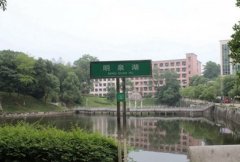 日照卫生学校