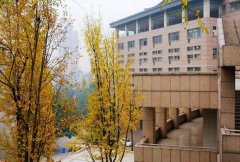 重庆医科大学