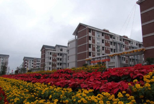 重庆医科大学图片