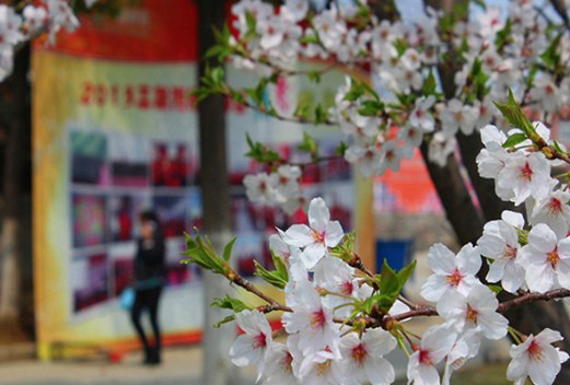 安徽三联汽修学院图片