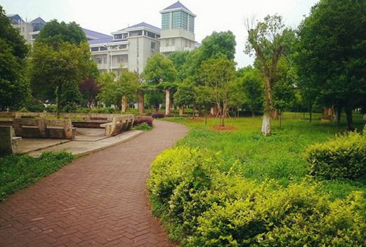 岳阳职业技术学院图片