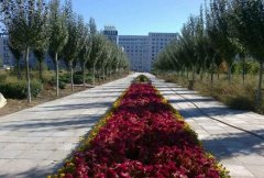 廊坊卫生职业学院