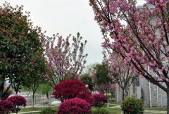 湖南第一师范学院